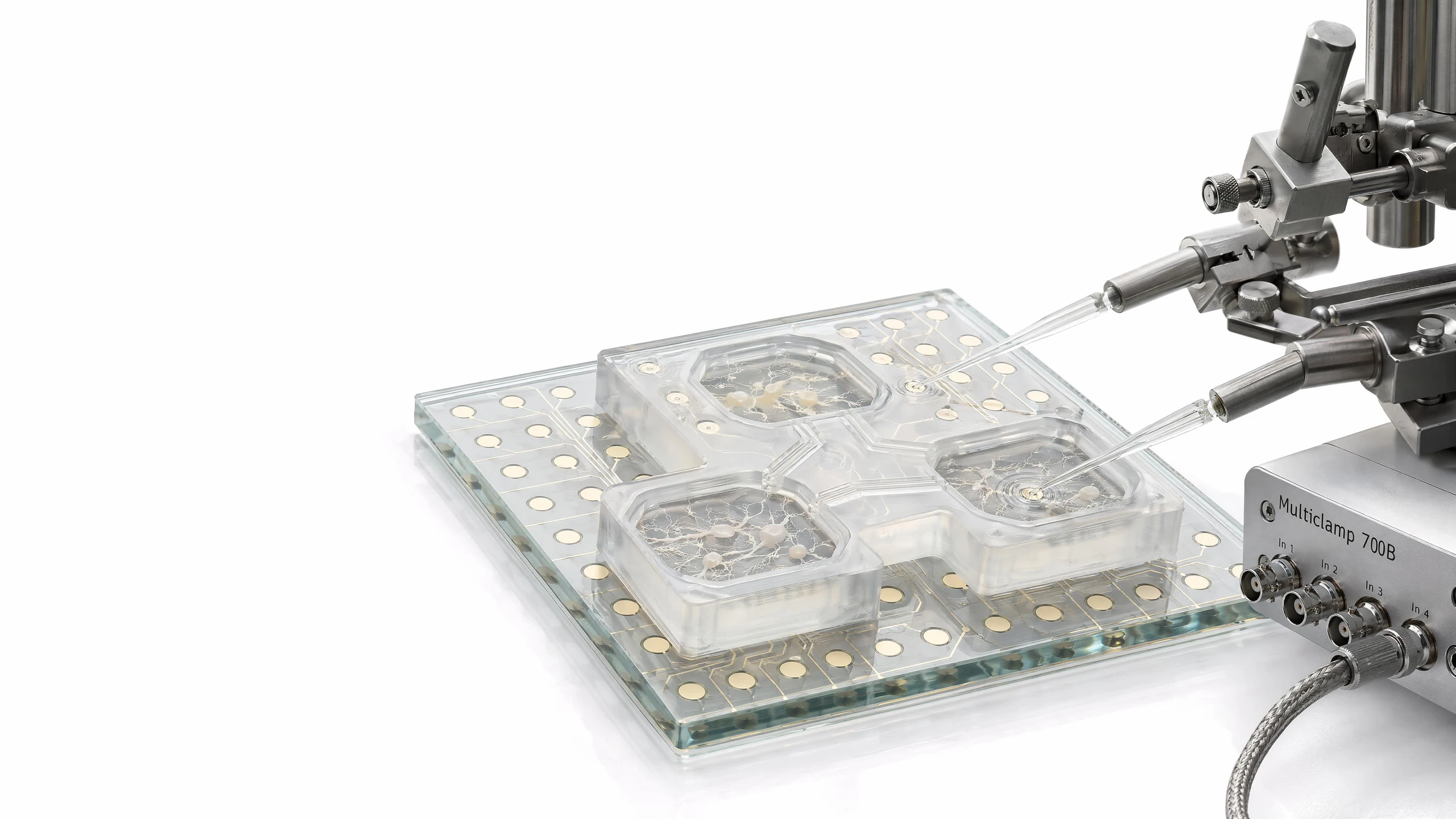 Neuronal logic & devices